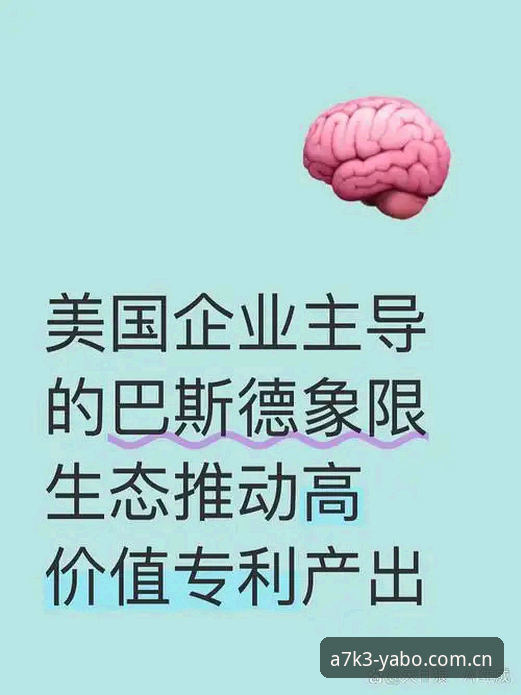 yabo体育平台安全性与可用性深度分析：从备用网址到核心生态的全面解析